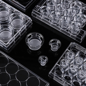 耐思NEST 细胞小室培养板 12孔板+12小室 3um孔径PC(聚碳酸酯)膜 半透明 TC 灭菌  